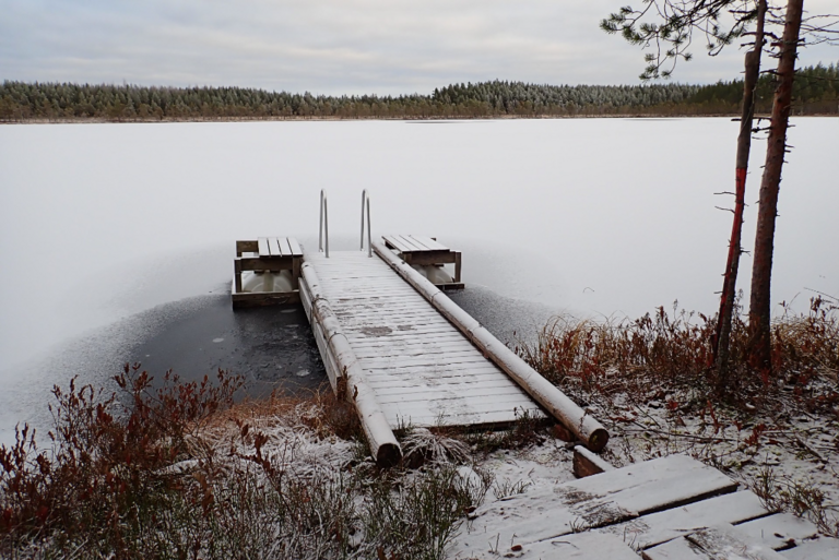 Lokkilampi (04.488.1.007)-Havaintopaikka 1-ObsIMG-202211161329-637ceaecc9421.png