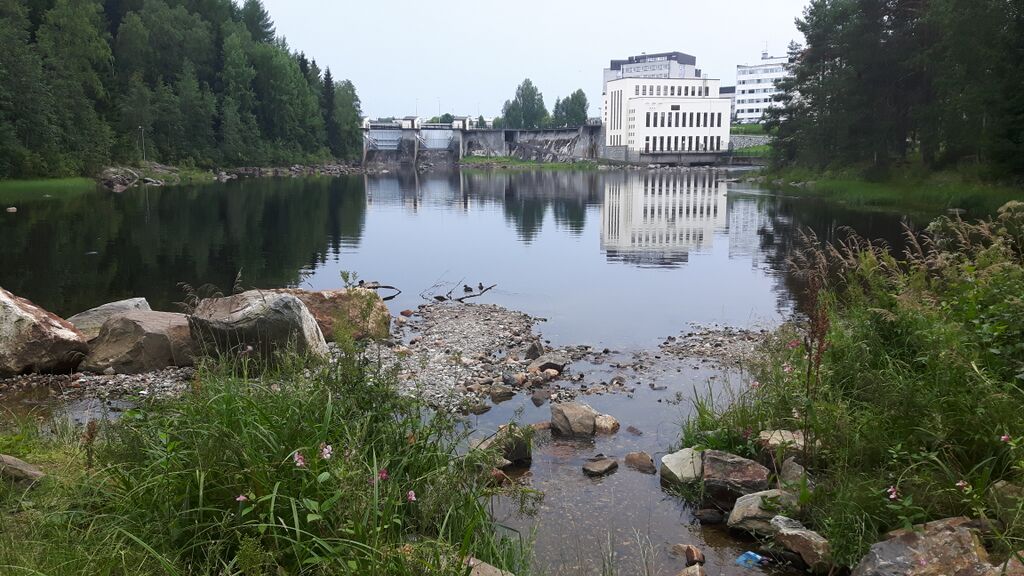 Nuasjärven lähialue (59.811)-Havaintopaikka 1-ObsIMG-201607272358-63.jpg