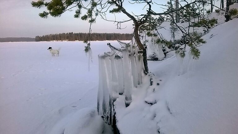 WP 20160109 11 38 36 Smart.jpg