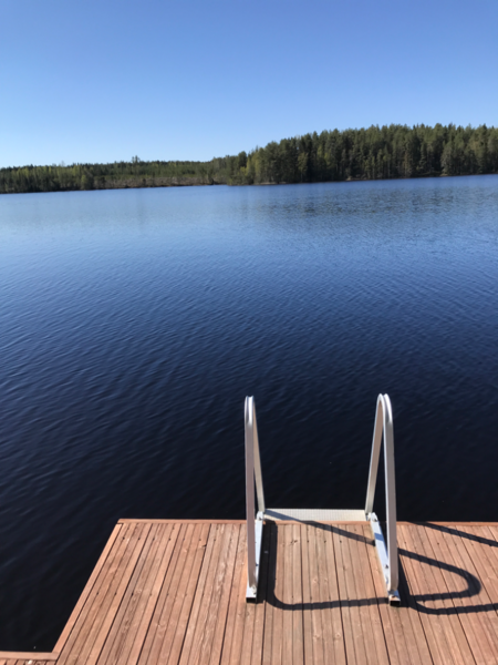 Tiedosto:Juurusvesi - Akonvesi (04.611.1.001)-Poikonsaaret-ObsIMG-202205241018-628c88661e6c6.png