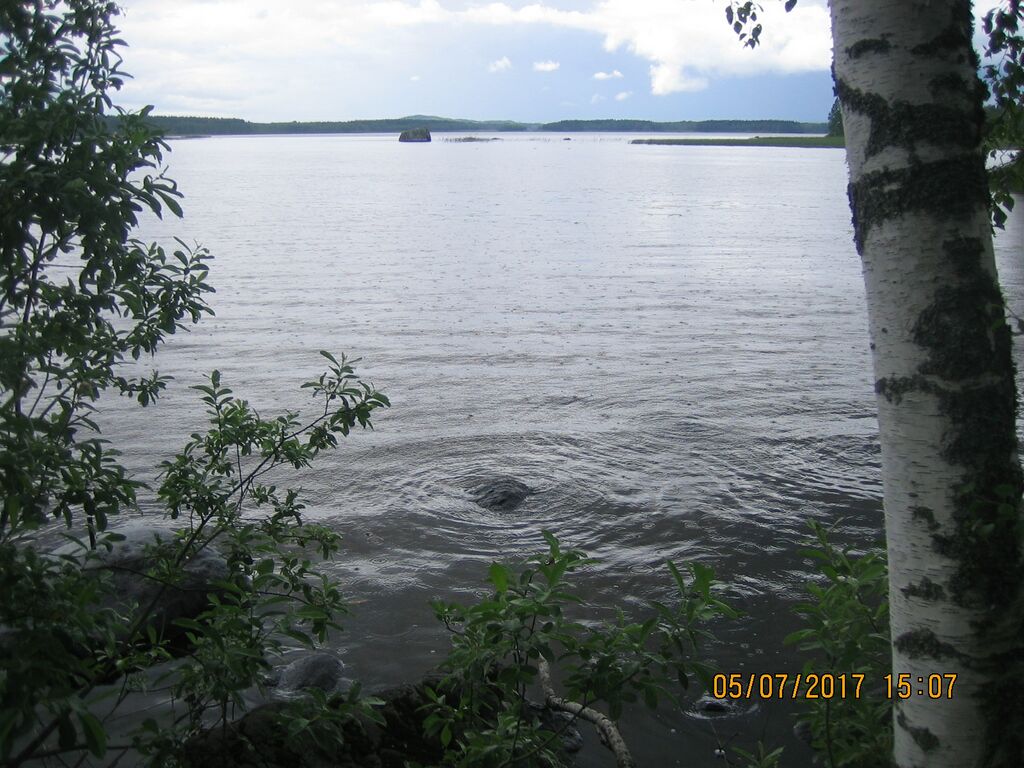 Kuonanjarvi Rasvoniemi.JPG