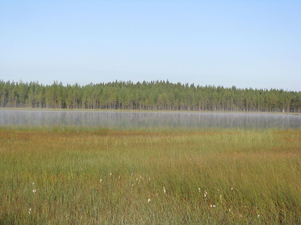SärkilampiKuhmo.JPG