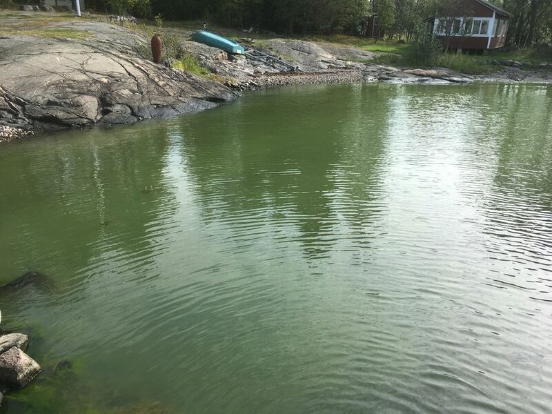 Tiedosto:Suvisaaristo-Lauttasaari-Pieni Lehtisaari-ObsALG-201809061437-45.jpg