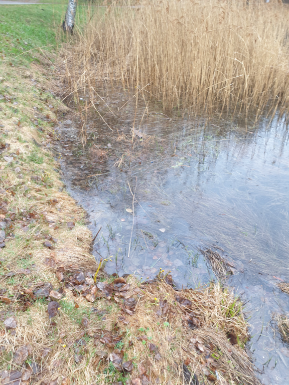 Urpolanlampi (04.152.1.001)-Urpolanlammen uimapaikka-ObsIMG-202305021141-6450cd291ec53.png