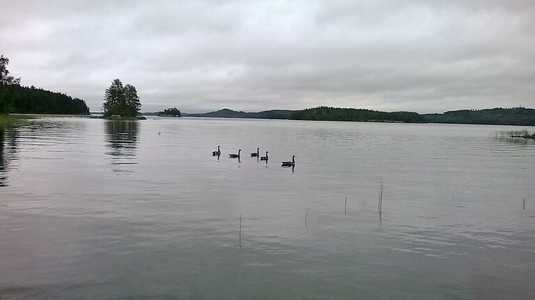 WP 20160816 17 01 48 Smart.jpg