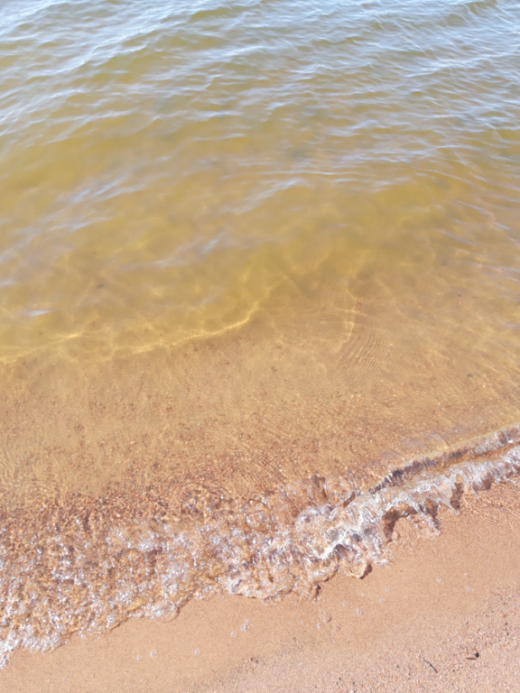 Köyliönjärvi (34.054.1.001)-Valtakunnallinen sinileväseuranta (Yttilän Otta)-ObsALG-202306131635-6488712b0830a.png