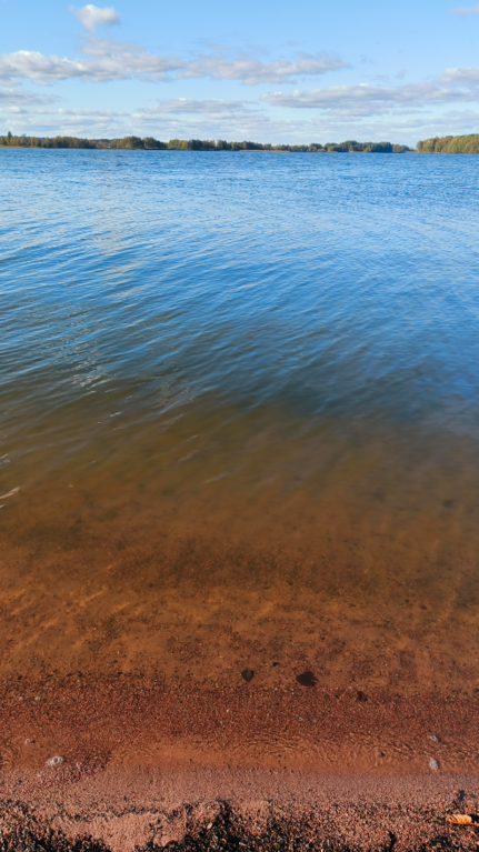 Köyliönjärvi (34.054.1.001)-Valtakunnallinen sinileväseuranta (Yttilän Otta)-ObsALG-202509301528-1759235345916.png