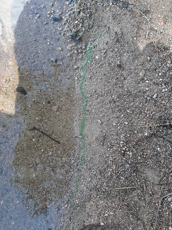 Kuoksenjärvi (35.764.1.020)-Veikkasenlahti-ObsALG-201906161746-4.jpg