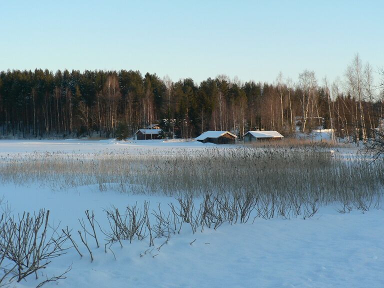 Varislahden kiermejä.JPG