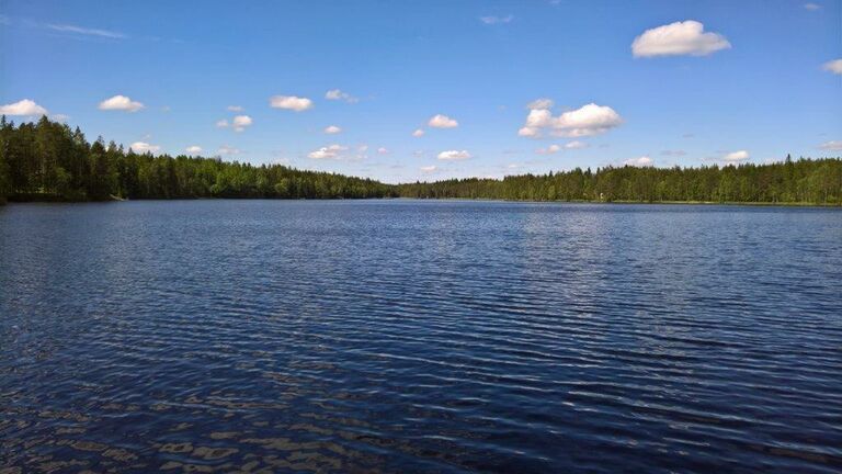 Järvinäkymä länteen.jpg