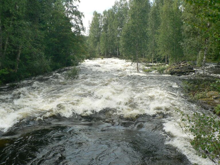 Palokin alakoski.JPG