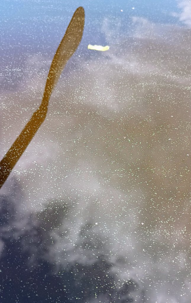 Pienivesi (14.917.1.002)-Havaintopaikka 4-ObsALG-202506281733-685ffdfec1646.png