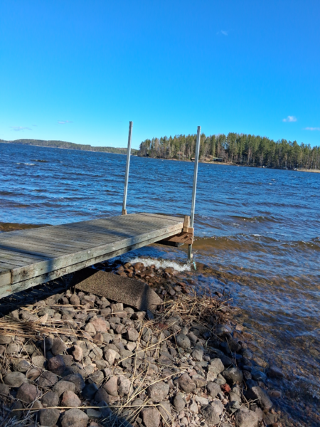 Tiedosto:Saimaa (04.112.1.001)-Rotarien sinileväseuranta (Pulkkaselkä, Hietalahti)-ObsIMG-202604271341-1777286618760.png