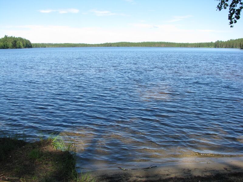 Tiedosto:Tulijärvi.JPG