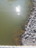 Pyhäjärvi (34.031.1.001)-Valtakunnallinen sinileväseuranta (Katismaan uimaranta)-ObsALG-202406041024-665ec16bc6655.png