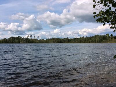 Luomajärvi1.jpg