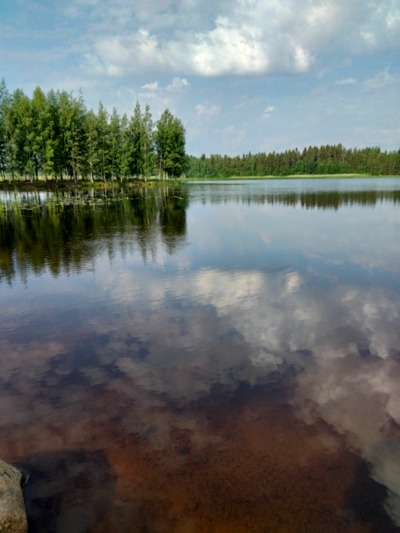 Evijärvi (47.021.1.001)-Valtakunnallinen sinileväseuranta (Sillankorvan leirintäalue)-ObsIMG-202106220924-60d1825c03223.png