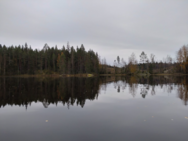 Päällikköjärvi (04.115.1.037)/Tervahaudanniemi