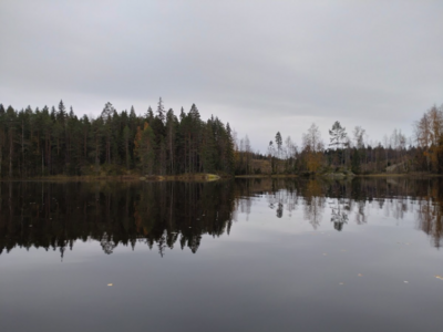 Päällikköjärvi (04.115.1.037)-Tervahaudanniemi-ObsIMG-202310221610-6537721516107.png