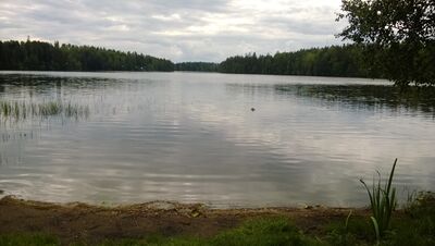 Nielusjärvi.jpg
