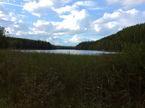 Virmojärvi2.jpg