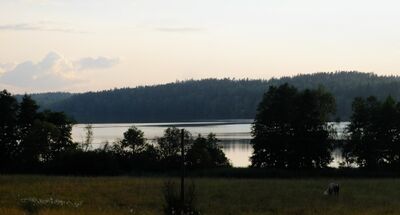 Hirsijärvi.jpg