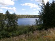 Haarjärvi (23.074.1.004)/Paikkarintie