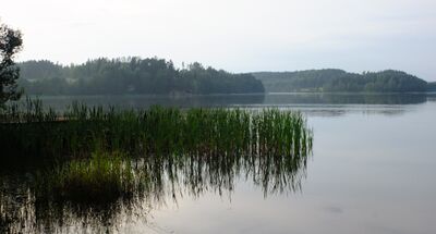 Ylisjärvi2.jpg