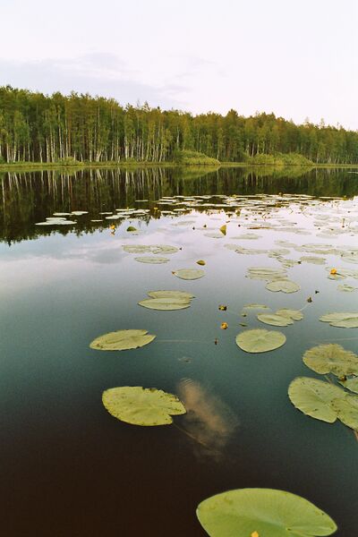 Rautaisenjärvi.jpg