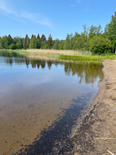 Ukonvesi (Saimaa) (04.151.1.001)-Valtakunnallinen sinileväseuranta (Launialan uimaranta)-ObsIMG-202306140950-648963b3bf0bd.png