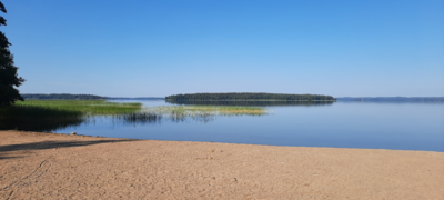 Vesijärvi (14.241.1.001)-Valtakunnallinen sinileväseuranta (Pirppulan uimaranta)-ObsIMG-202107140836-60ee783e95b00.png
