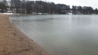Joutjärvi (14.241.1.004)-Möysän uimaranta-ObsIMG-201704301125-89.jpg