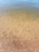 Pyhäjärvi (34.031.1.001)-Valtakunnallinen sinileväseuranta (Katismaan uimaranta)-ObsALG-202109281506-615305d948bd3.png
