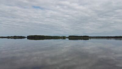 Köyliönjärvi (34.054.1.001)-Yttilän Otta-ObsIMG-201806091047-13.jpg