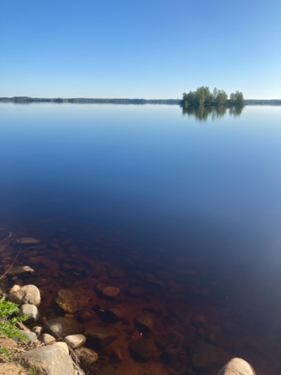 Alajärvi (47.043.1.001)-Valtakunnallinen sinileväseuranta (Hoiskon uimapaikka)-ObsIMG-202106020724-60b708a3e1b32.png
