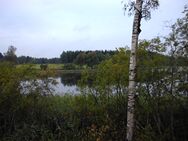 Sahajärvi (81.057.1.033)/Sahajärven ranta