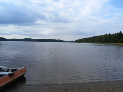 Ukonvesi (Saimaa) (04.151.1.001)-Valtakunnallinen sinileväseuranta (Launialan uimaranta)-ObsIMG-202108170951-611b5d4b1c56c.png