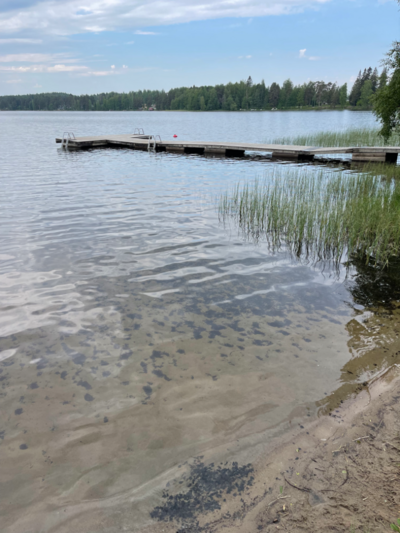 Pitkäjärvi (04.152.1.002)-Valtakunnallinen sinileväseuranta (Pitkäjärven uimaranta)-ObsIMG-202306211009-6492a254b8c48.png