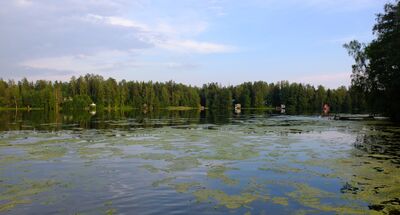 Taasjärvi6.jpg