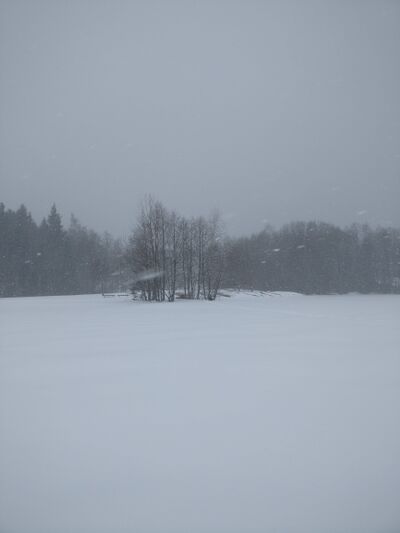 Vesijärvi (14.241.1.001)-Kankolan uimaranta-ObsIMG-201804021710-6.jpg