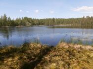Käärmejärvi (81.032.1.003)/Lounaisranta