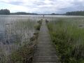 Kutunjärvi (04.265.1.032)-Ysipirtti-ObsIMG-201907061728-55.jpg