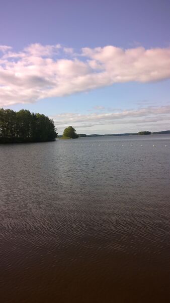 Simpelejärvi (yhd.)-Valtakunnallinen sinileväseuranta (Rantapuiston uimaranta)-ObsIMG-201709051555-3.jpg
