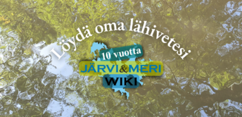 Banneri Järvi-meriwiki 10 vuotta.png
