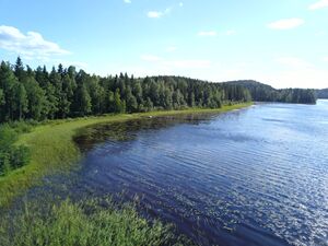 Ylä-Lylyjärvi (14).jpg