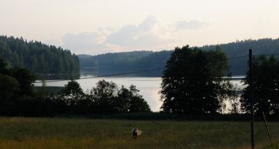 Hirsijärvi2.jpg