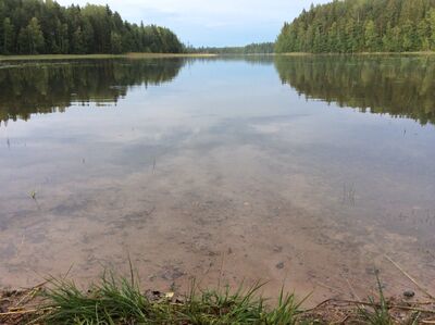 Herajärvi1.jpg