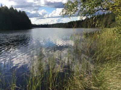 Luomasenjärvi.jpg