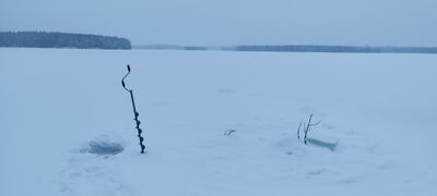 Välijärvi (74.021.1.051)-Luikonsaari-ObsICE-202012271329-1.jpg
