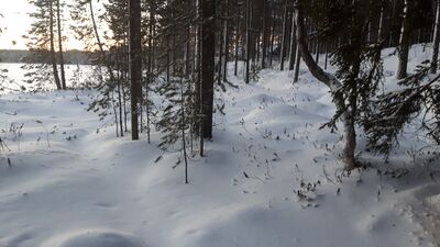 Välijärvi (74.021.1.051)-Luikonsaari-ObsSNOWLOAD-201612281330-57.jpg